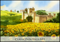 Sunflowers at Castle