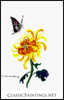 Yellow Crysanthemum and Butterfly
