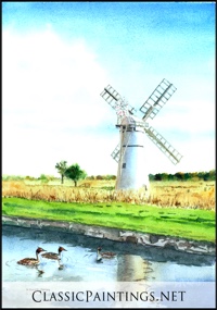 Mergansers and Windmill, Norfolk Broads, East Anglia, England